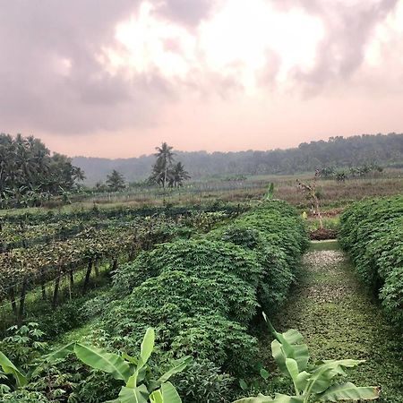 Villa Anandha トリバンドラム エクステリア 写真