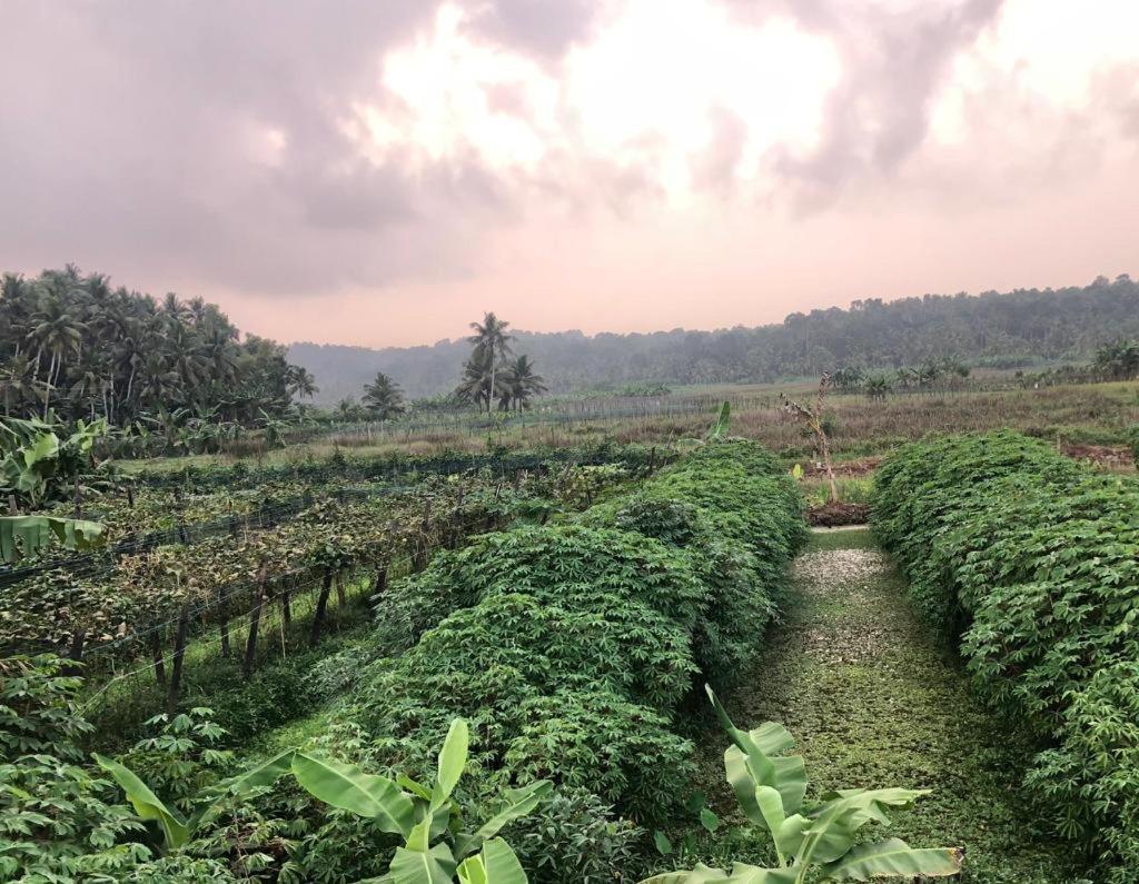 Villa Anandha トリバンドラム エクステリア 写真